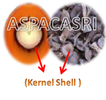 palm-kernel-shell
